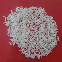 برنج شیرودی درجه ۱