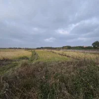 فروش زمین مزروعی چسبیده مسکونی|فروش زمین و ملک کلنگی|واجارگاه, |دیوار