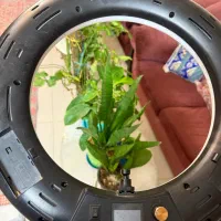 رینگ لایت Viltrox VL-600T