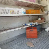 نیسان دیزل یخچالی ۹۰|خودرو سواری و وانت|مشهد, پنجتن|دیوار