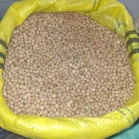 حبوبات پردیس|خوردنی و آشامیدنی|مبارکه, |دیوار