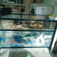 ویترین درحد نو