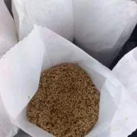 بذر نارنج برای سبزه عید ۱۴۰۵