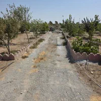 باغچه فروشی،سهیلیه،دولت اباد