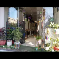 لباسشویی ازقیمت ۳۰ تومن استعلام موجودی|ماشین لباسشویی و خشک‌کن لباس|تهران, جوادیه تهرانپارس|دیوار