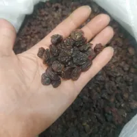کشمش گله درگز مخصوص آبگیری|خوردنی و آشامیدنی|مشهد, نوید (بلوار کشاورز)|دیوار