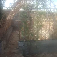 ساخت الاچیق|مصالح و تجهیزات ساختمان|گلباف, |دیوار