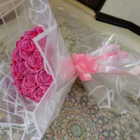 گل روبانی زیبا