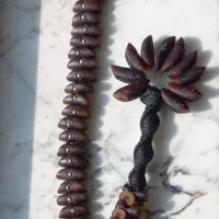 تسبیح زیتون در انواع طرح و نقش تراش دست|جواهرات|رشت, پیرسرا|دیوار