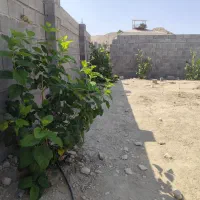 فروش زمین|فروش زمین و ملک کلنگی|جم, |دیوار