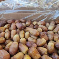 قصب خرما زاهدی|خوردنی و آشامیدنی|جهرم, |دیوار