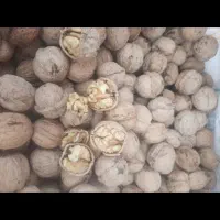 گردوی محلی تازه