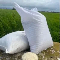 برنج طارم