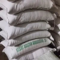 گندم پیشگام