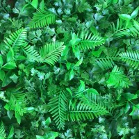 پخش انواع چمن ،فنس برگی رشته ای گرینوال سنگ|عمده‌فروشی|رشت, امین الضرب|دیوار