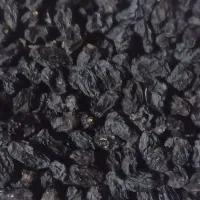 کشمش مویز بدون هسته