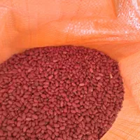 لوبیاقرمز رقم یاقوت|خوردنی و آشامیدنی|زنجان, |دیوار