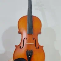 ویولن دست ساز|ویولن|شیراز, نارنجستان|دیوار