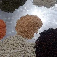 حبوبات،لوبیا،عدس،نخود،چای زیرقیمت موجودکردیم|خوردنی و آشامیدنی|شوشتر, |دیوار