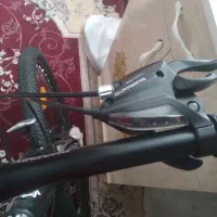 دوچرخه۲۹فونیکس|دوچرخه، اسکیت، اسکوتر|الشتر, |دیوار