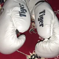 کیسه بوکس و دستکش