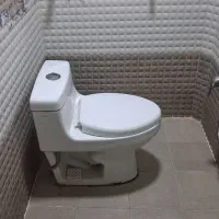توالت فرنگی