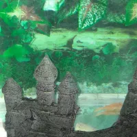 اکواریوم باماهی لجن خوار طلایی و یه سری لوازم|ماهی|اسلامشهر, شهرک قائمیه|دیوار