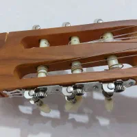 گیتار پارسی|گیتار، بیس، امپلیفایر|شیراز, گویم|دیوار