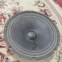 یک عدد میدرنج ۱۰ اینچ دنتکس|سیستم صوتی خانگی|محمدشهر, همایون ویلا|دیوار