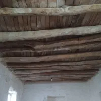خریدار همه نوع چوب باقیمت روز
