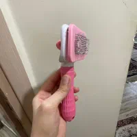 ملزومات گربه