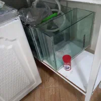 آکواریوم|ماهی|ارومیه, |دیوار