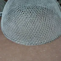 دماغه و گرگور