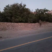 باغ  فروشی قابل تهاتر با ملک در یزد یا خودرو|فروش دفتر صنعتی، کشاورزی، تجاری|خضر آباد, |دیوار