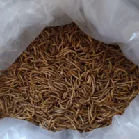 کرم میل ورم|لوازم جانبی حیوانات|شیراز, وصال|دیوار