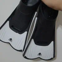 فین شنا