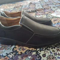 کفش نو سایز43
