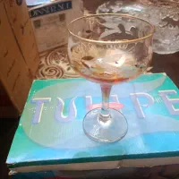 کریستال وبستنی خوری ترک