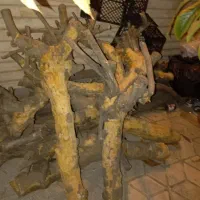 خریدار و برشکار چوب شما در سراسر استان هستم|خدمات باغبانی و درختکاری|بوشهر, |دیوار