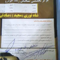 پراید مدل ۸۶ دو گانه کارخانه|خودرو سواری و وانت|تربتحیدریه, منظر|دیوار