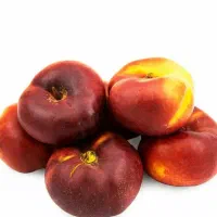 پیشفروش نهال شلیل انجیری|خدمات باغبانی و درختکاری|ارشق, |دیوار