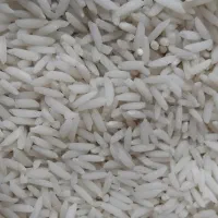 برنج هاشمی کشاورزی