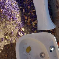 همگی سالم|تلفن رومیزی|محلات, |دیوار