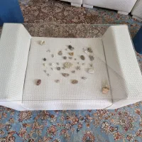 فروش مبلمان،میزوسط وعسلی|مبلمان خانگی و میز عسلی|شیراز, کوی وحدت|دیوار