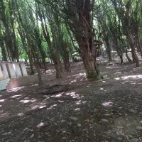 نیروی حراست