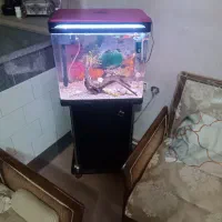 آکواریوم کمری اصل بدون تخفیف