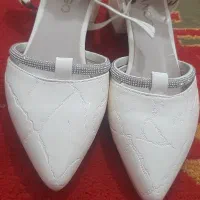 سایز ۳۷