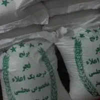 برنج محلی فجر امسال