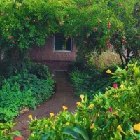 اجاره باغ ویلای رویایی در بیضا|اجارهٔ کوتاه‌مدت ویلا و باغ|بیضا, |دیوار