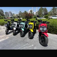 اجاره موتوربرقی 3000